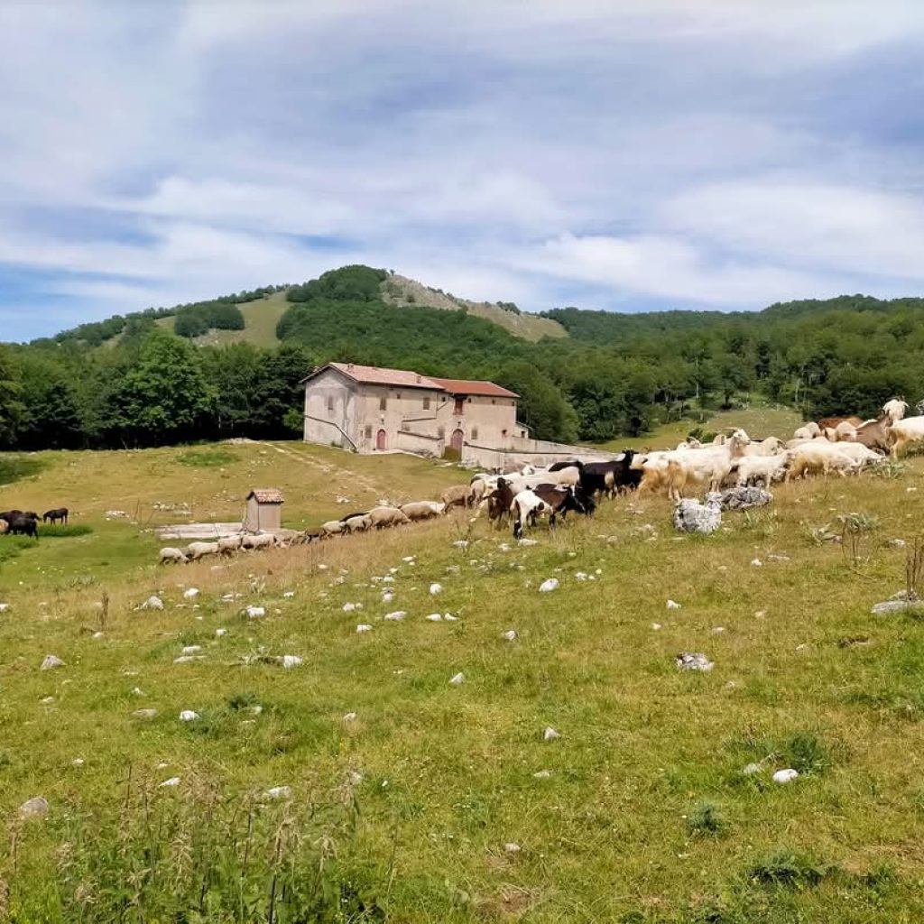 181ef123-cd1a-4fe0-8648-1d5e41d2aeb8